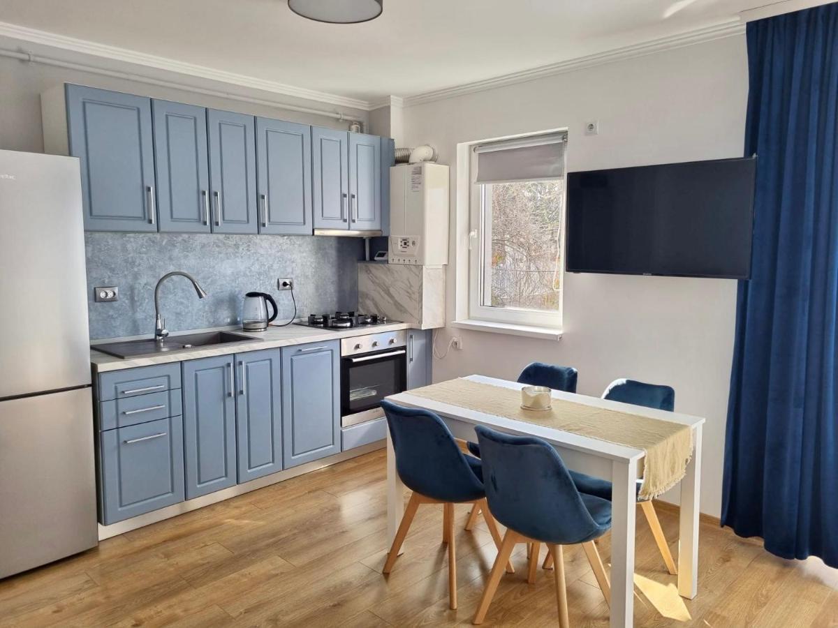 Lily Central Apartment With Free Parking Târgu-Mureş Exteriör bild